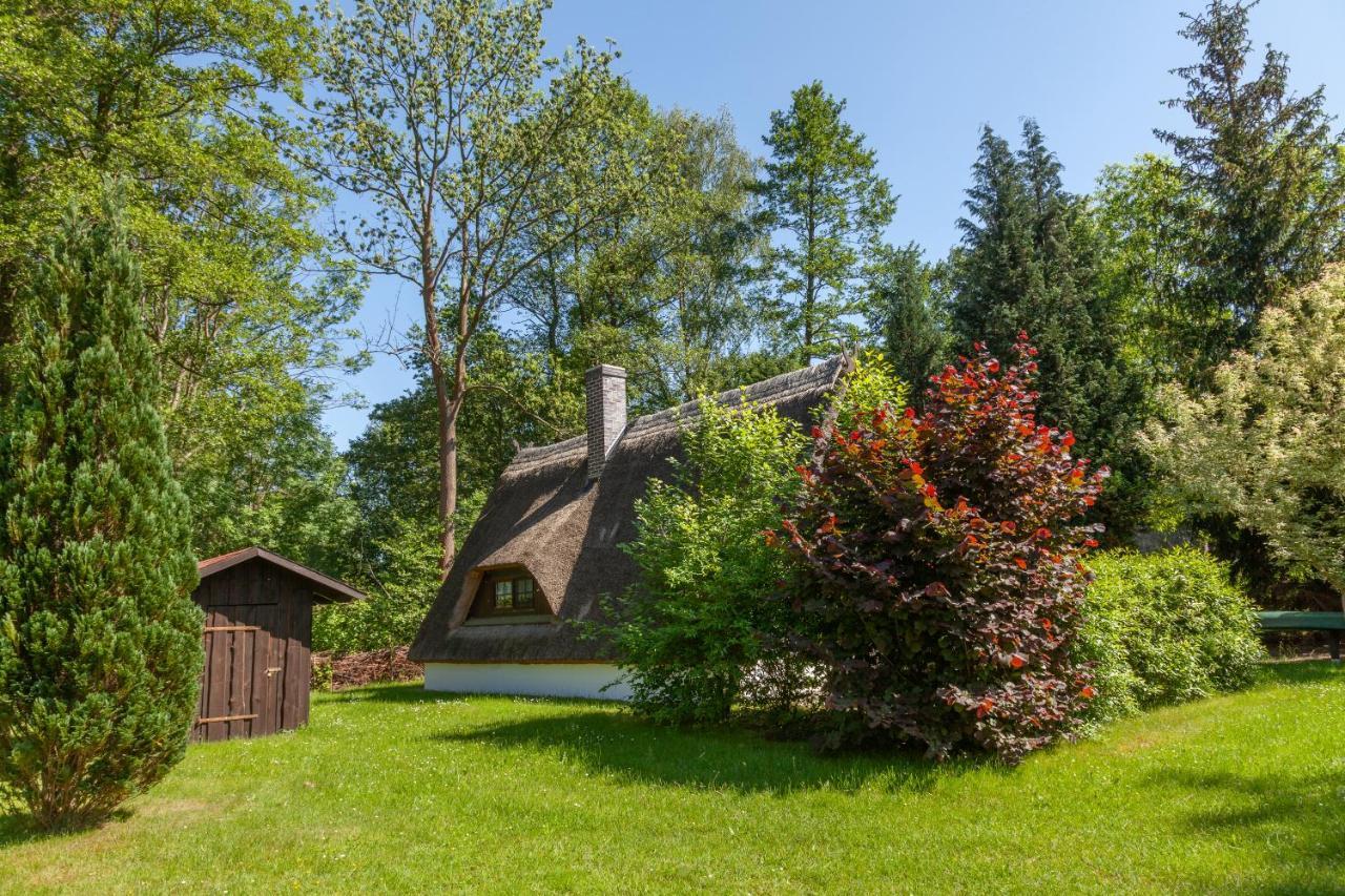 Ferienhaus Auf Der Kauperinsel Burg  Exteriér fotografie